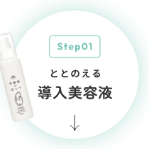 ととのえる導入美容液