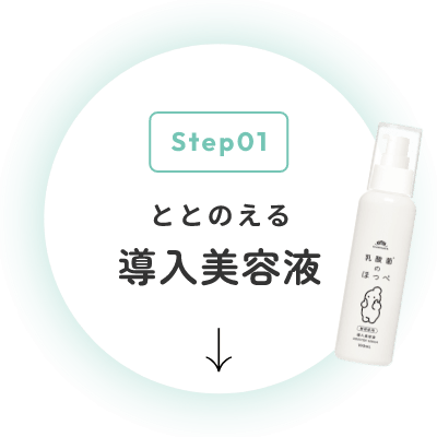 ととのえる導入美容液