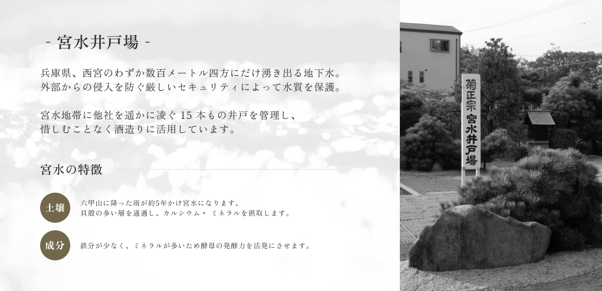 商品詳細イメージ