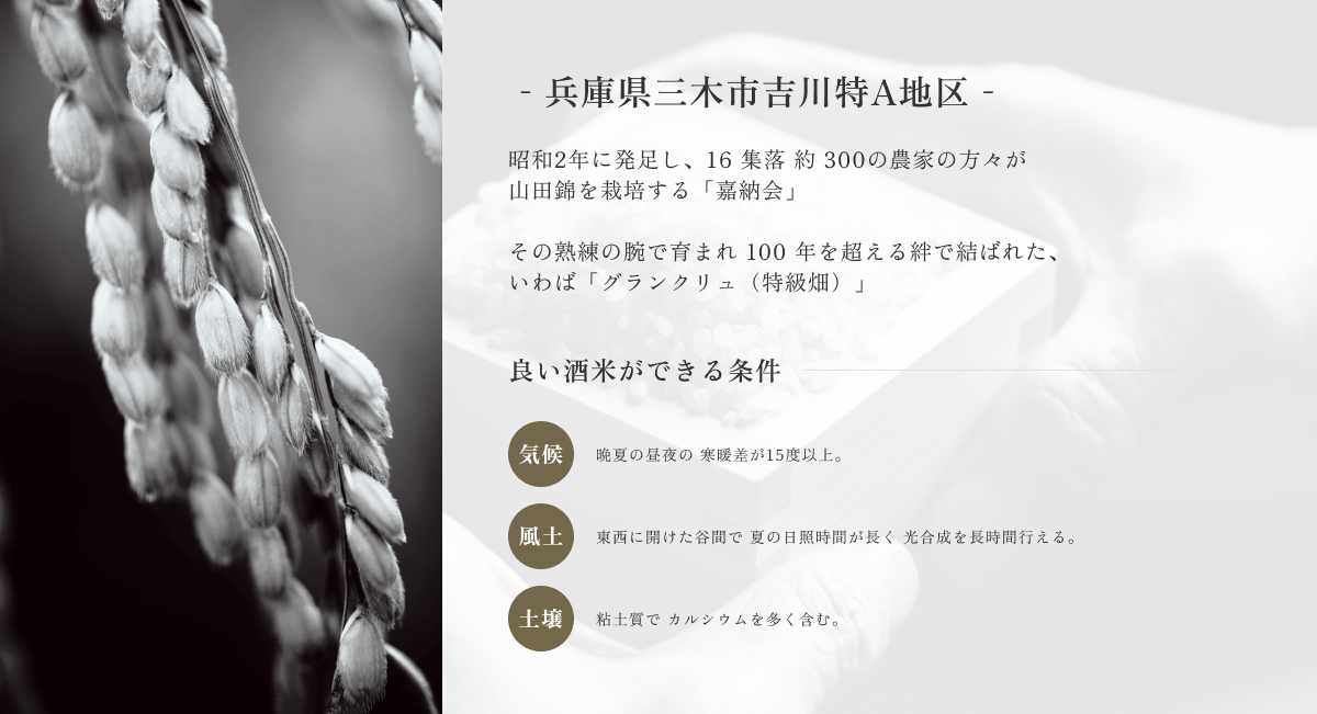 商品詳細イメージ