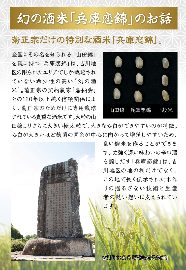 幻の酒米「兵庫恋錦」のお話