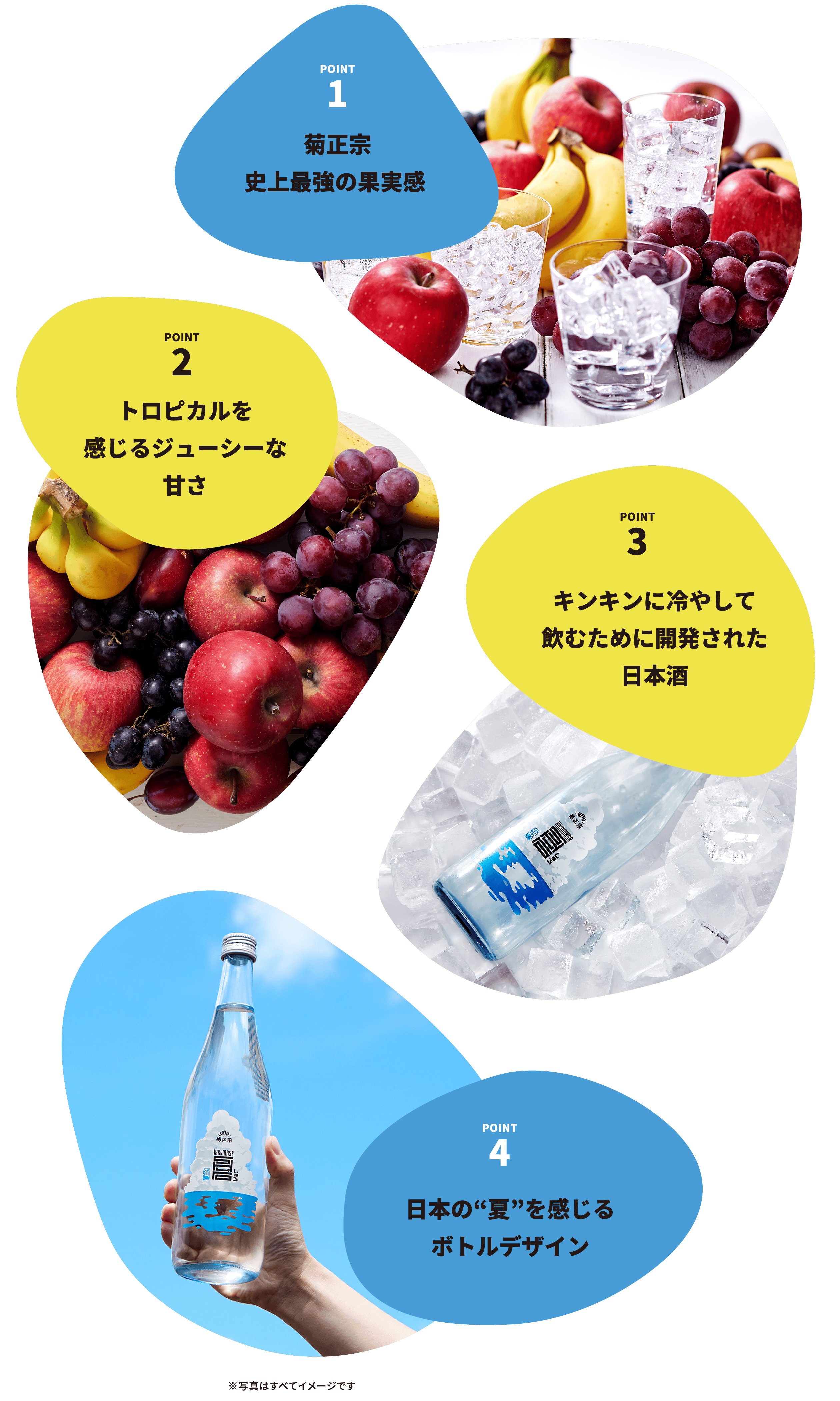 POINT1 菊正宗史上最強の果実感 POINT2 トロピカルを感じるジューシーな甘さ POINT3 キンキンに冷やして飲むために開発された日本酒 POINT4 日本の“夏”を感じるボトルデザイン