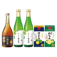 「菊正宗 果実のパラダイス2026」